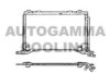 AUTOGAMMA 101731 Condenser, air conditioning